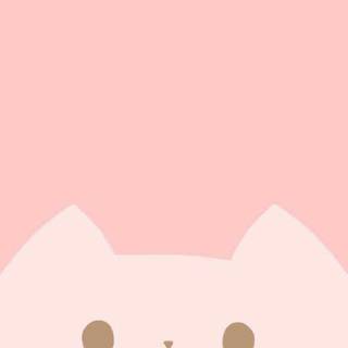Cute Pink Cats Wallpapers