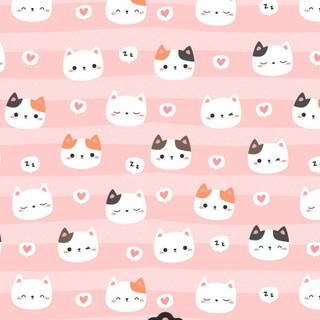 Cute Pink Cats Wallpapers