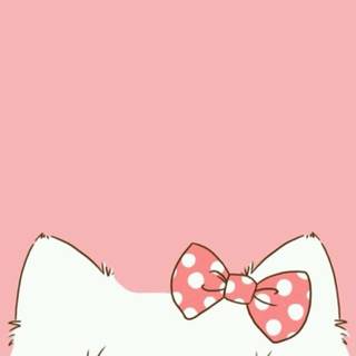 Cute Pink Cats Wallpapers