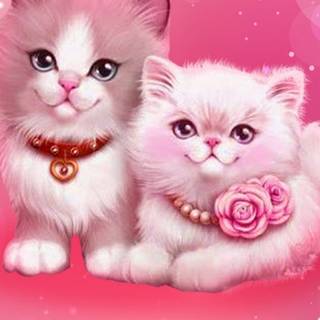 Cute Pink Cats Wallpapers