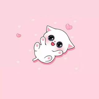 Cute Pink Cat Wallpapers