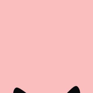 Cute Pink Cat Wallpapers
