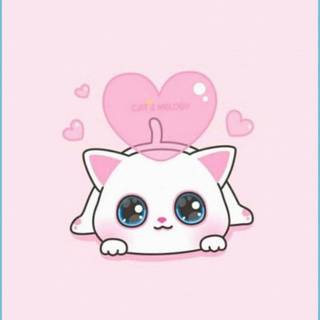Cute Pink Cat Wallpapers