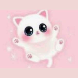 Cute Pink Cat Wallpapers