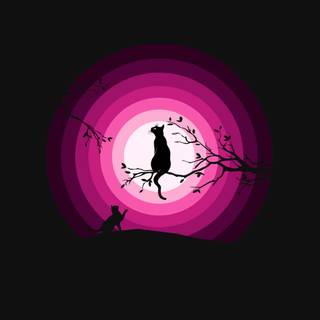 Pink And Black Desktop Wallpapers