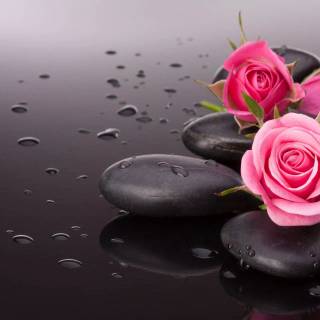 Pink And Black Desktop Wallpapers