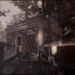 Cat Detective Albert Wilde Wallpapers