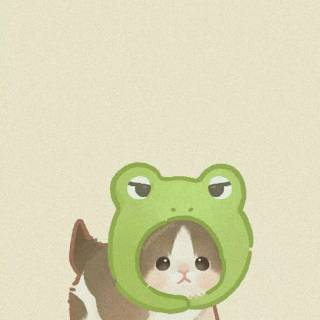 Cat With Frog Hat Wallpapers
