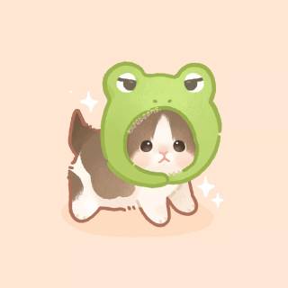 Cat With Frog Hat Wallpapers