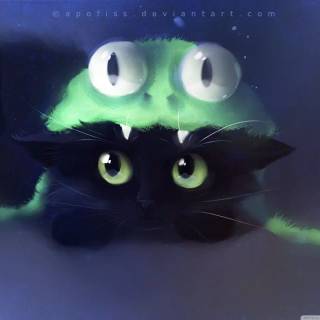 Cat With Frog Hat Wallpapers