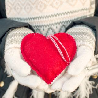 Love red heart shape in snow