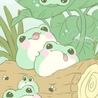 Duck And Frog Wallpapers