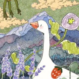 Duck And Frog Wallpapers