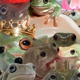 Preppy Frog Wallpapers