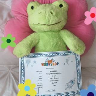 Build A Bear Frog Wallpapers