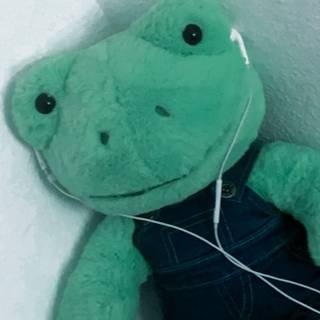 Build A Bear Frog Wallpapers