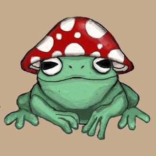 Frogs And Mushrooms Wallpapers