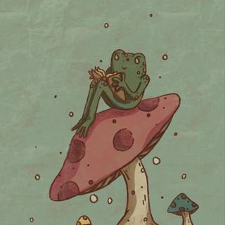 Frogs And Mushrooms Wallpapers