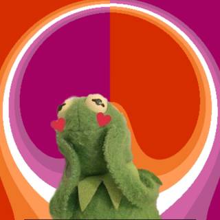 Pride Frogs Wallpapers