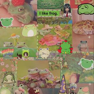Frogcore Wallpapers