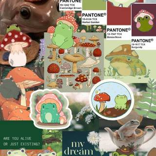 Aesthetic Frog Collage Wallpapers