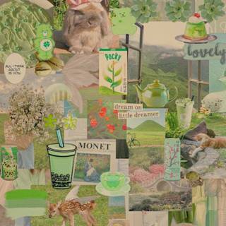 Aesthetic Frog Collage Wallpapers