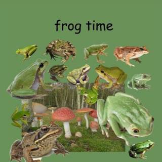 Aesthetic Frog Collage Wallpapers