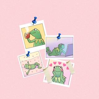 Pink Frog Wallpapers