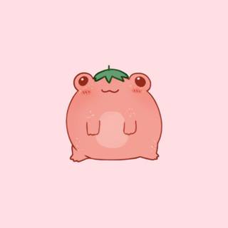 Pink Frog Wallpapers
