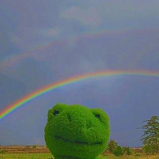 Baddie Frog Wallpapers