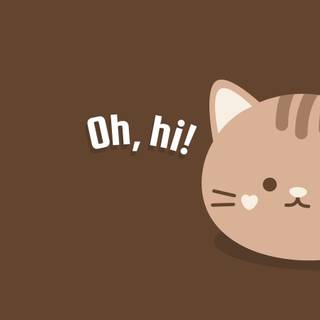 Cute Cat Laptop Wallpapers