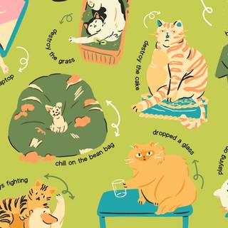 Cute Cat Laptop Wallpapers