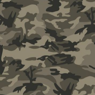 Camouflage 