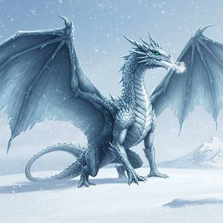 Winter Dragon