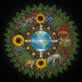 Earth Mandala