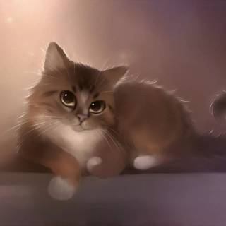 Cute Cat Laptop Wallpapers