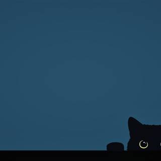 Cute Cat Laptop Wallpapers