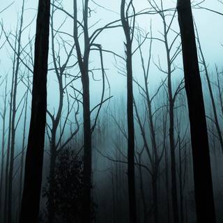 Scary iPhone iOS Wallpapers