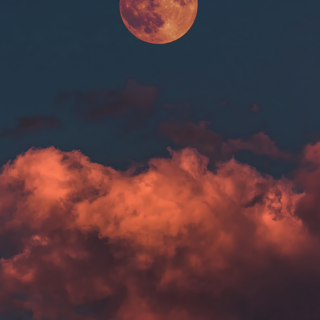 Scary iPhone iOS Wallpapers