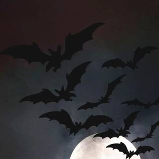 Scary iPhone iOS Wallpapers