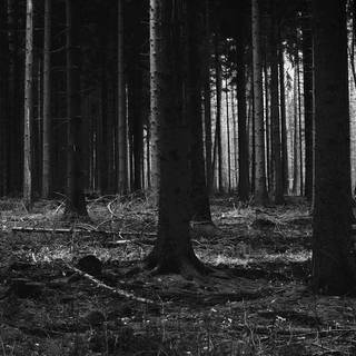 Scary iPhone iOS Wallpapers