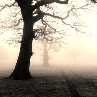 Scary iPhone iOS Wallpapers