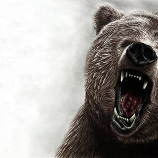 Scary Bears Wallpapers