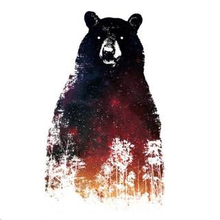 Scary Bears Wallpapers