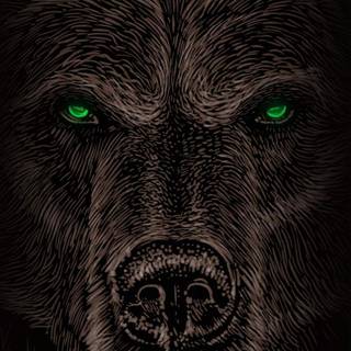 Scary Bears Wallpapers