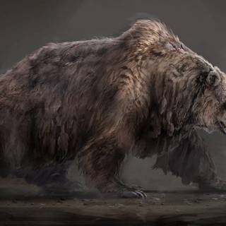 Scary Bears Wallpapers