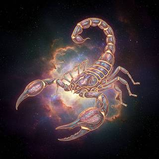Zodiac Scorpio ♏️