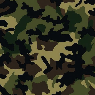Camouflage 