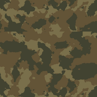 Camouflage 
