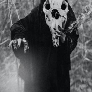 Scary PFP Wallpapers